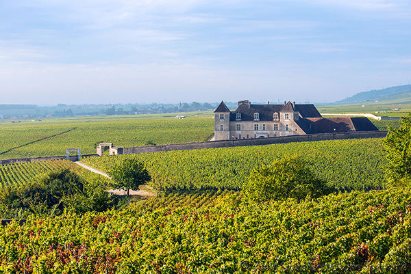 Clos-Vougeot